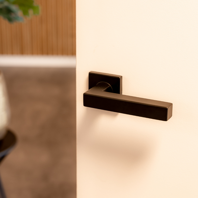 Viterbo door handles