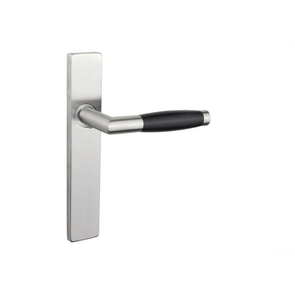 Ascoli door handle stainless steel with rectangular shield