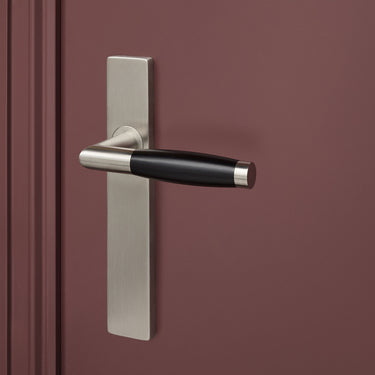 Ascoli door handle stainless steel with rectangular shield