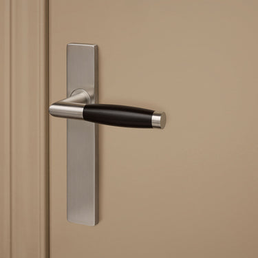 Ascoli door handle stainless steel with rectangular shield