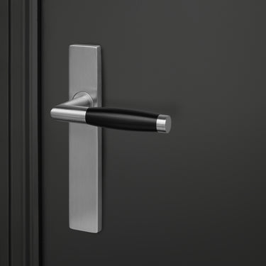 Ascoli door handle stainless steel with rectangular shield