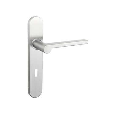 Caserta door handle stainless steel with rounded shield SL72