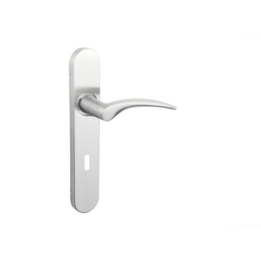 Lodini door handle stainless steel with rounded shield SL72