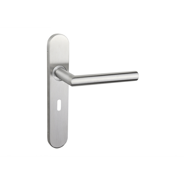 Mantua door handle stainless steel with rounded shield - SL56