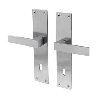 Trapini door handle stainless steel - Door handle on shield SL72